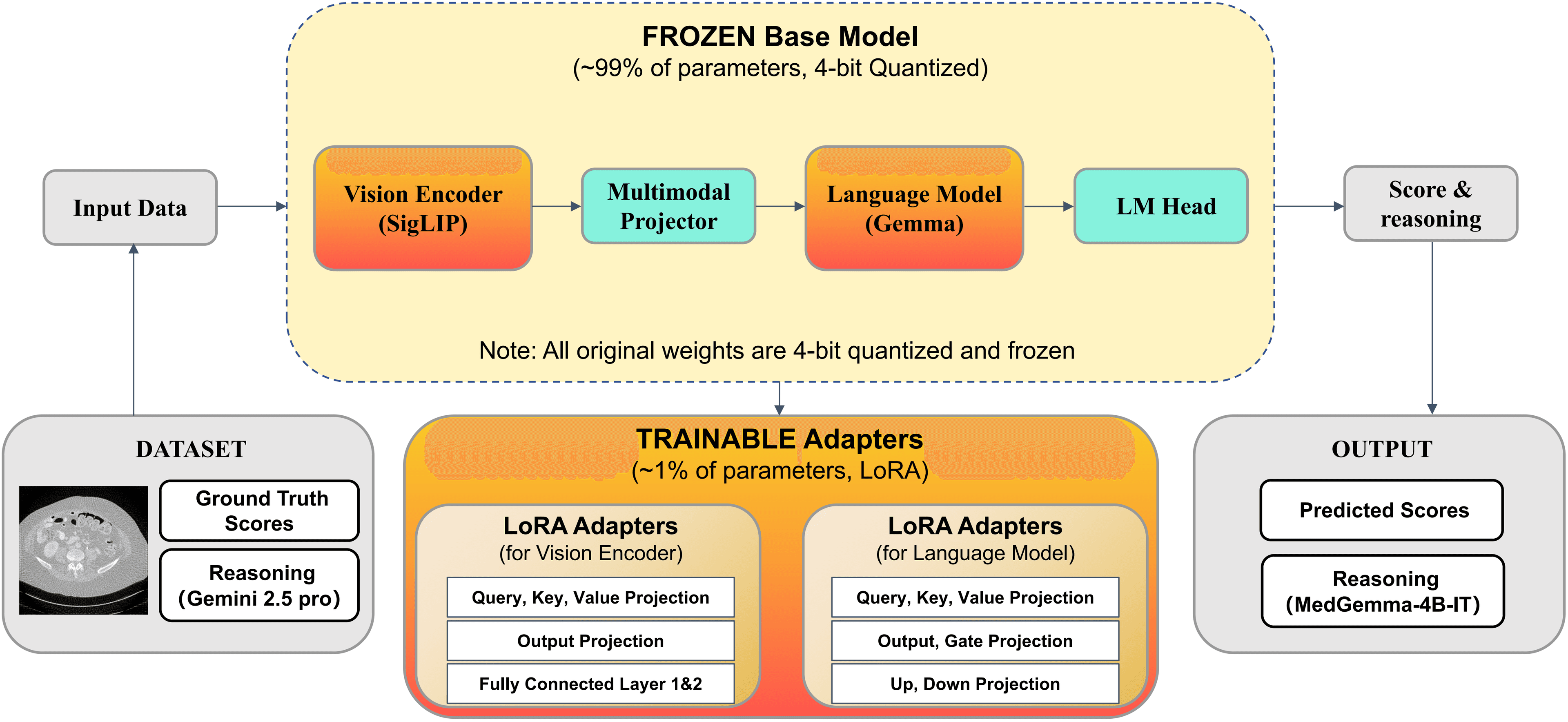 Explainable Radiologist-Aligned VLM for CT Image Quality Assessment